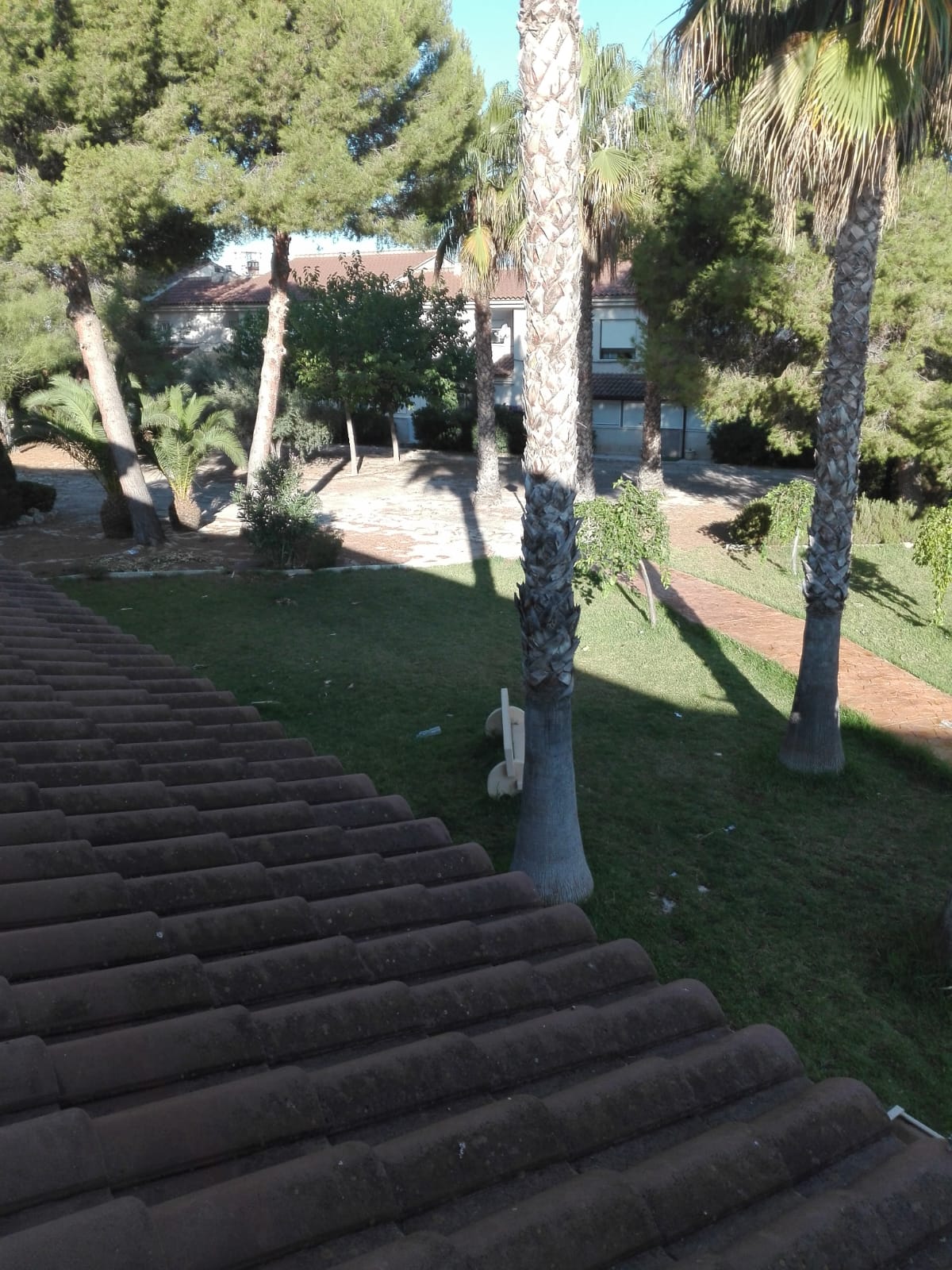 02-08-2019_46Parque comunitario.jpg